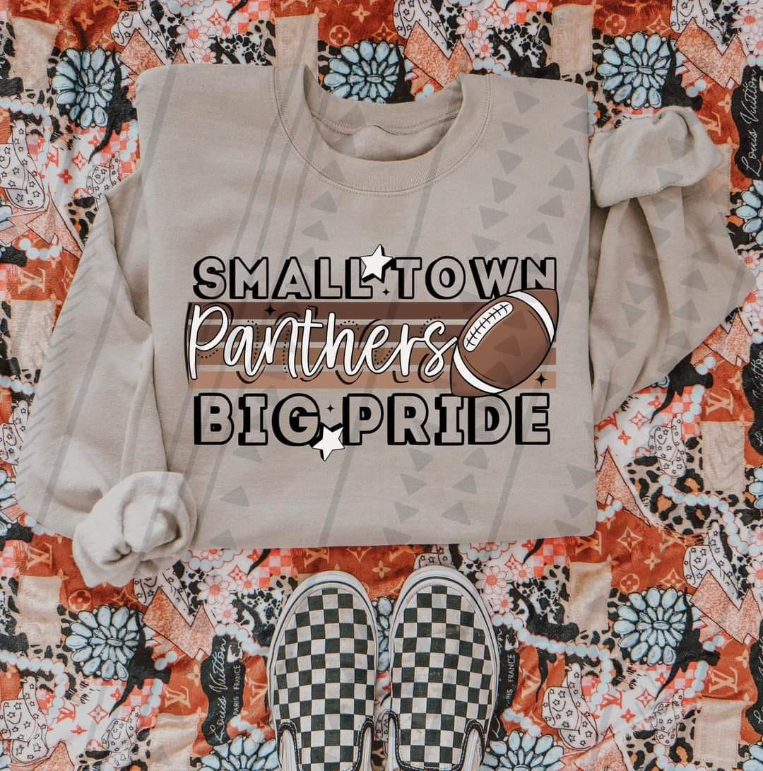 SMALL TOWN PANTHERS BIG PRIDE